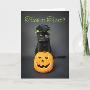 Glückliches Halloween für jede Katze im Monsterkos Feiertagskarte