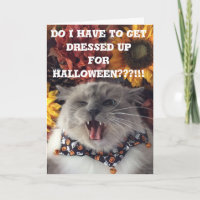 Glückliches Halloween/mürrische Katzenkarte