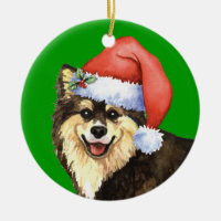 Glückliches Howliday finnisches Lapphund