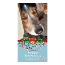 Glückliches Howlidays Beagle-Foto-niedliches Blau