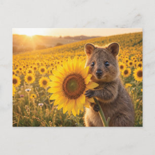 Glückliches lächelndes Quokka mit einer Sonnenblum Postkarte