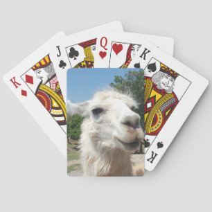 Glückliches Lama Spielkarten