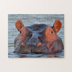 Glückliches Nilpferd