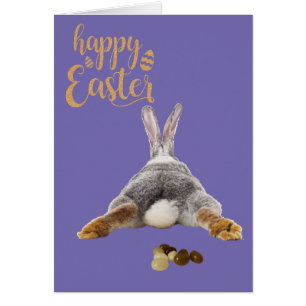 Glückliches Ostern Hase Po Schwanz Braune Jelly Be