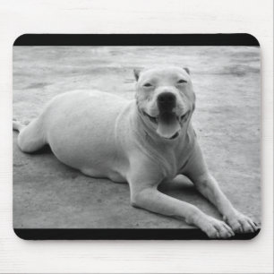 Glückliches pitbull mousepad