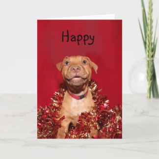 Glückliches pitbull Welpe Weihnachten