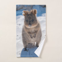 Glückliches Quokka auf dem Strand