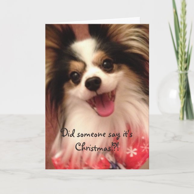 Glückliches Weihnachtenlächelnde Papillon Karte (Vorderseite)