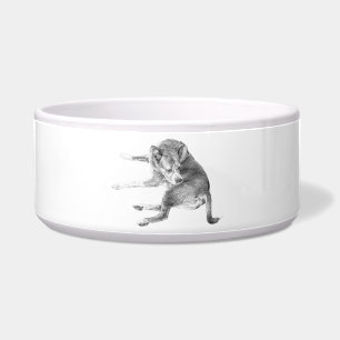 Glückliches Welpen-Mahl Napf