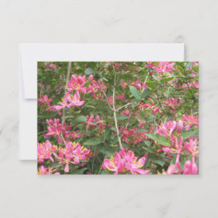 Glückselige Blüten