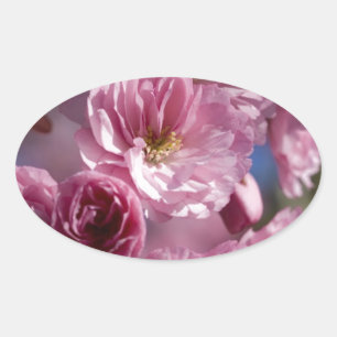 Glückselige Blüten Ovaler Aufkleber