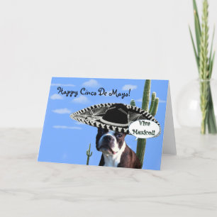 Glückskino de Mayo Boston Terrier Grußkarte Karte