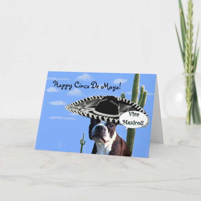 Glückskino de Mayo Boston Terrier Grußkarte Karte (Vorderseite)