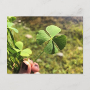 Glückstag Postkarte