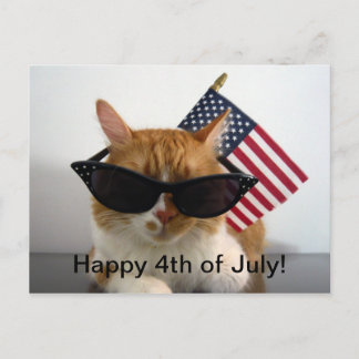 Glückwunsch 4. Juli Coole Katze mit Flag Postkarte