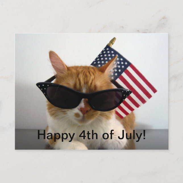 Glückwunsch 4. Juli Coole Katze mit Flag Postkarte (Vorderseite)