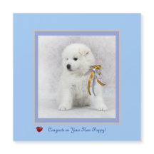 Glückwunsch auf der neuen Samoyed Puppy Magnetkart