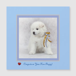 Glückwunsch auf der neuen Samoyed Puppy Magnetkart Magnetkarte