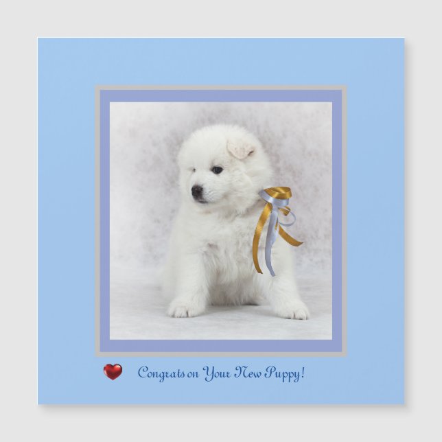 Glückwunsch auf der neuen Samoyed Puppy Magnetkart Magnetkarte (Vorderseite)