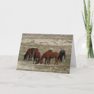 Glückwunsch des neuen Vet-Abschlusses - DVM-Ranch Karte