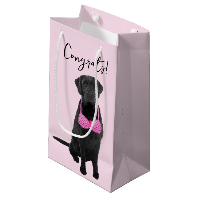 Glückwunsch, die zur Brustkrebserkrankung beitrage Kleine Geschenktüte (Vorderseite Schrägansicht)