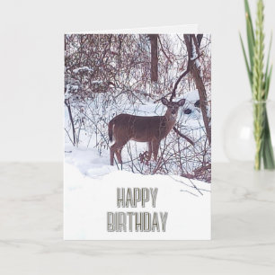 Glückwunsch zum Geburtstag Reh Foto Naturkarte Karte