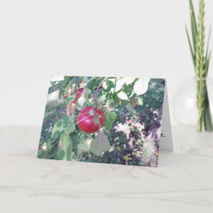 Glückwunschkarte "Hanging Apple" Karte