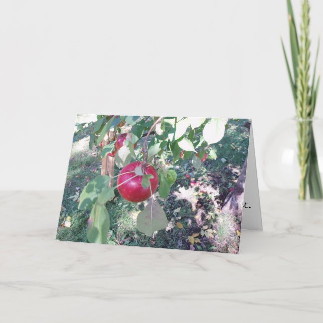 Glückwunschkarte "Hanging Apple" Karte (Vorderseite)