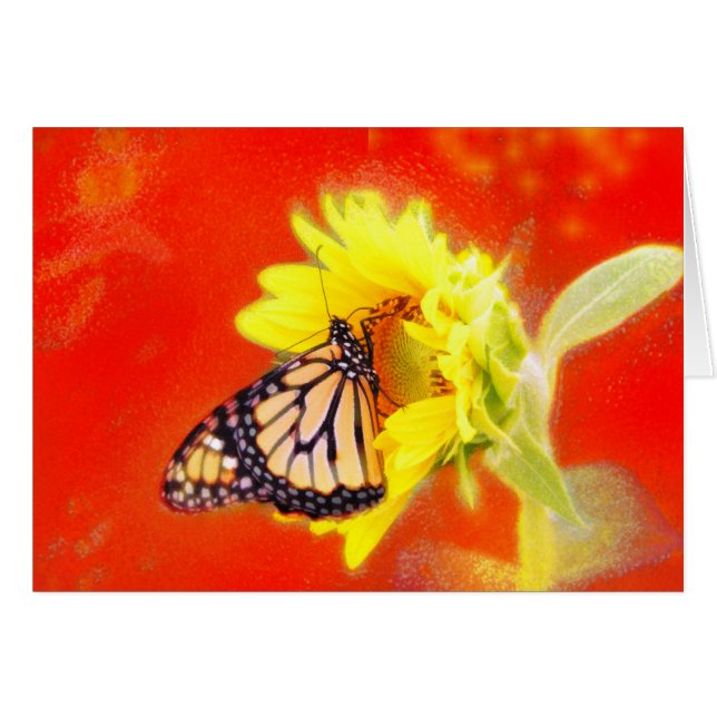 Glühen (Vorderseite (Horizontal))