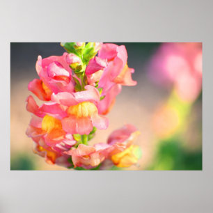 Glühen auf mir poster