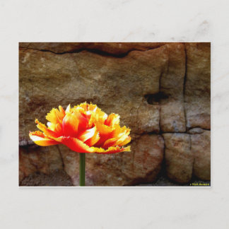 Glühen Postkarte