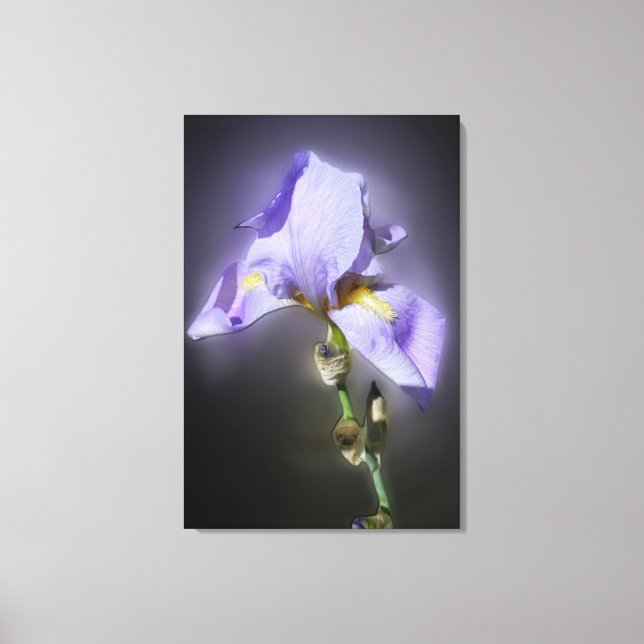 glühend lila leinwanddruck (Vorderseite)