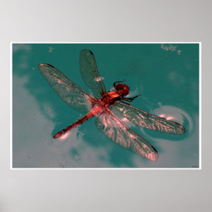 Glühende Dragonfly Poster