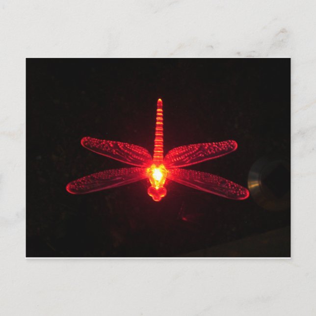 Glühende Dragonfly Postkarte (Vorderseite)