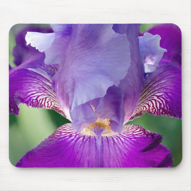 Glühende Irisnatur / blumengeschmücktes / botanisc Mousepad (Vorne)