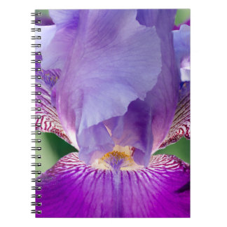 Glühende Irisnatur / blumengeschmücktes / botanisc Notizblock