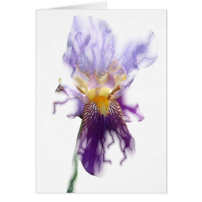 Glühende lila Iris-Karte (Vorne)