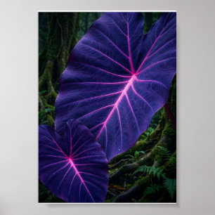 Glühende lila tropische Blätter Botanical Dark Fle Poster