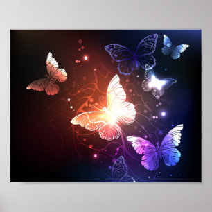 Glühende Nachtschmetterlinge Poster