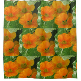 Glühende Nasturtien Duschvorhang