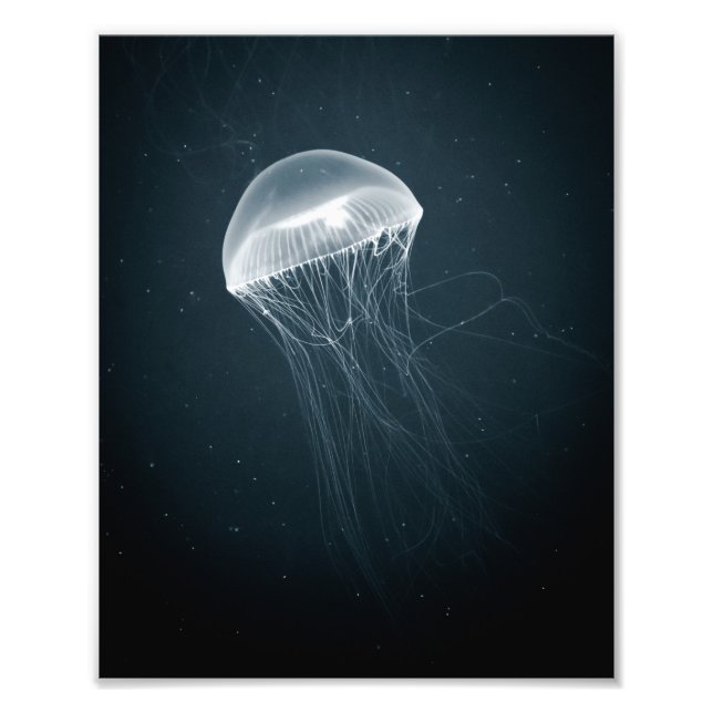 Glühende Qualle | Unterwasserfotografie Fotodruck (Vorne)