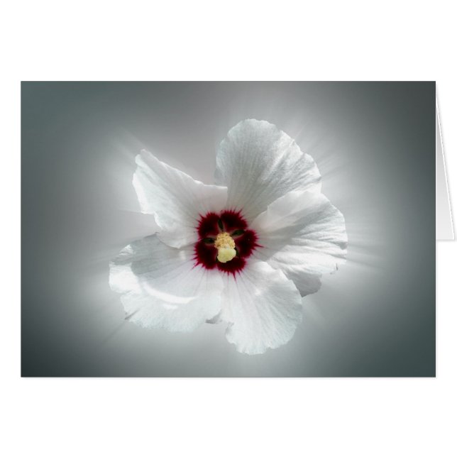 glühende weiße Blätter (Vorderseite (Horizontal))