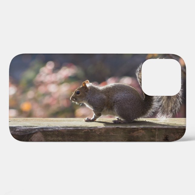 Glühender Eichhörnchen iPhone Case (Rückseite (Horizontal))