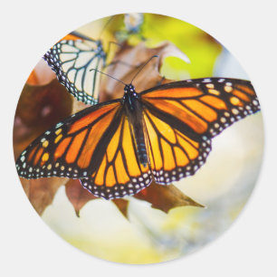 Glühender Monarch-Aufkleber Runder Aufkleber