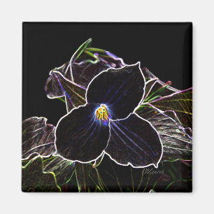 Glühender Trillium-Magnet Magnet