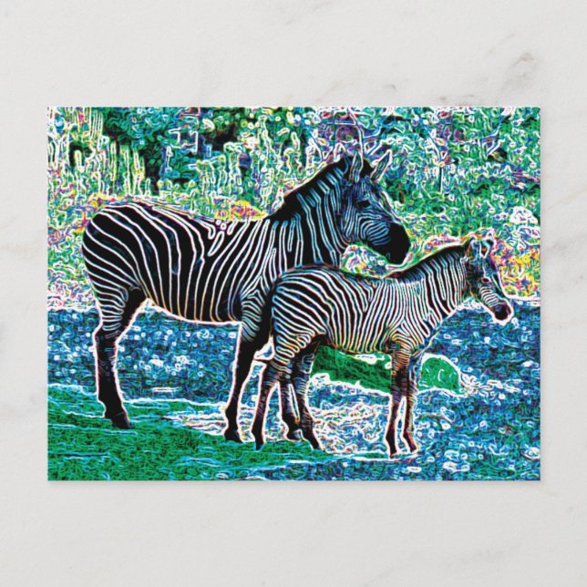 Glühender Zebras 01 Postkarte (Vorderseite)