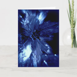 Glühendes blaues pointsetta auf schwarzer feiertagskarte
