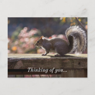 Glühendes Eichhörnchen denkt an Dich Postkarte
