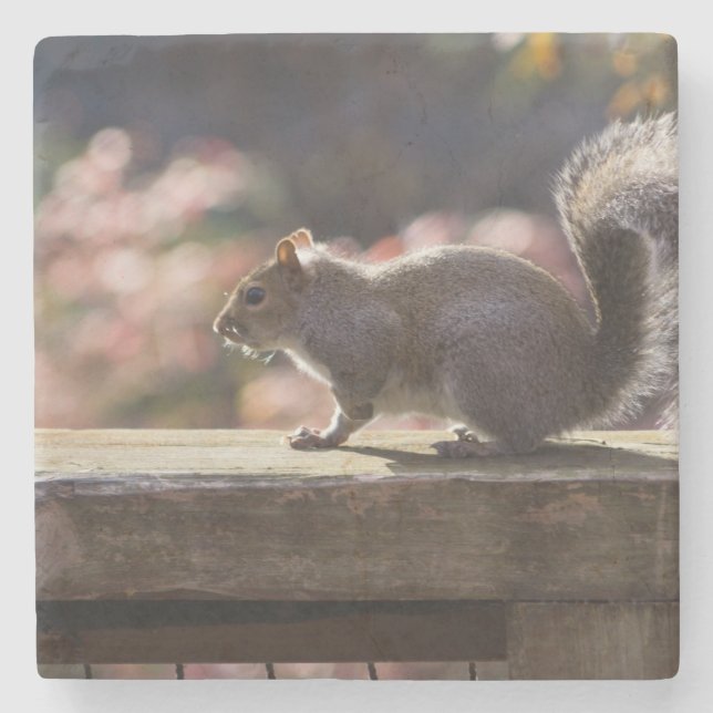 Glühendes Eichhörnchen Steinuntersetzer (Vorderseite)