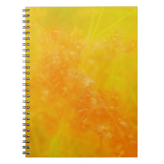 Glühendes Orange Notizbuch Notizblock